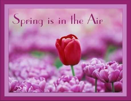 spring is in the air photo: Spring is in the air Spring_is_in_the_Air-1.jpg