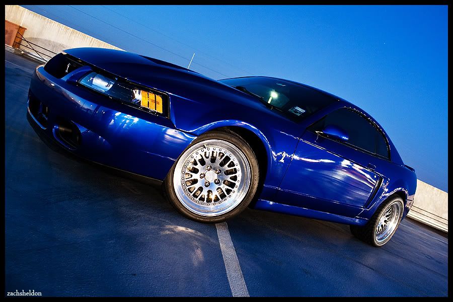 [Image: IMG_4764-2.jpg]