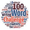 100 word challenge for grown-ups