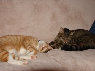 tiggy and sherm