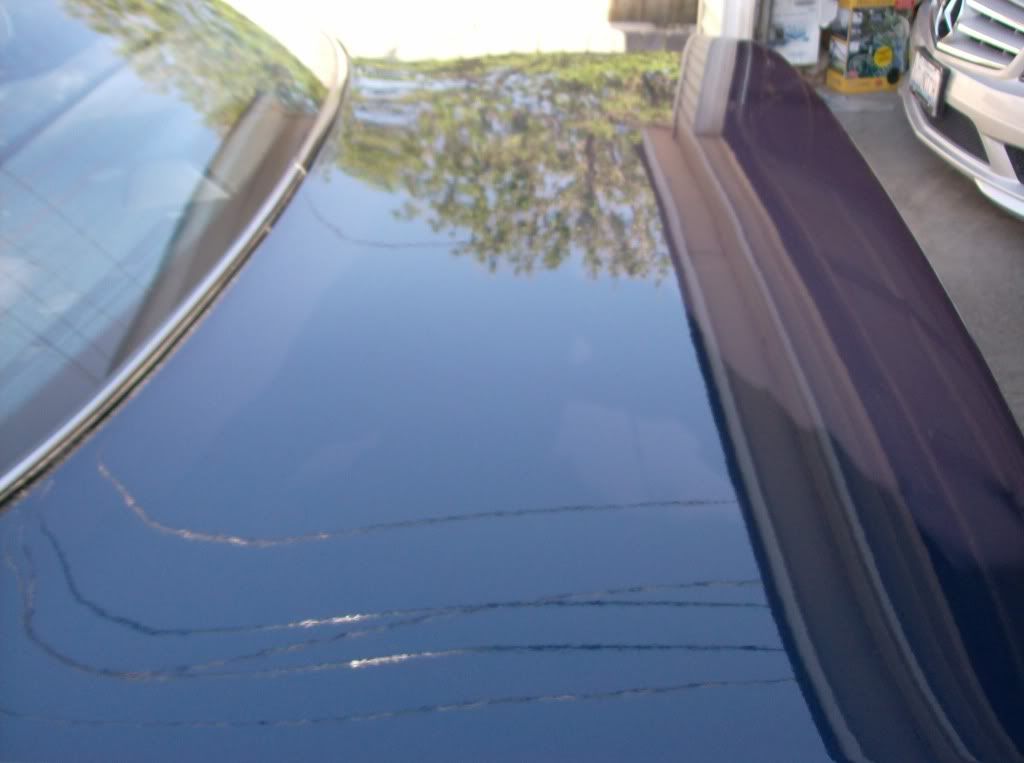 cars02020.jpg