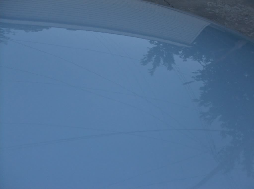 cars02025.jpg