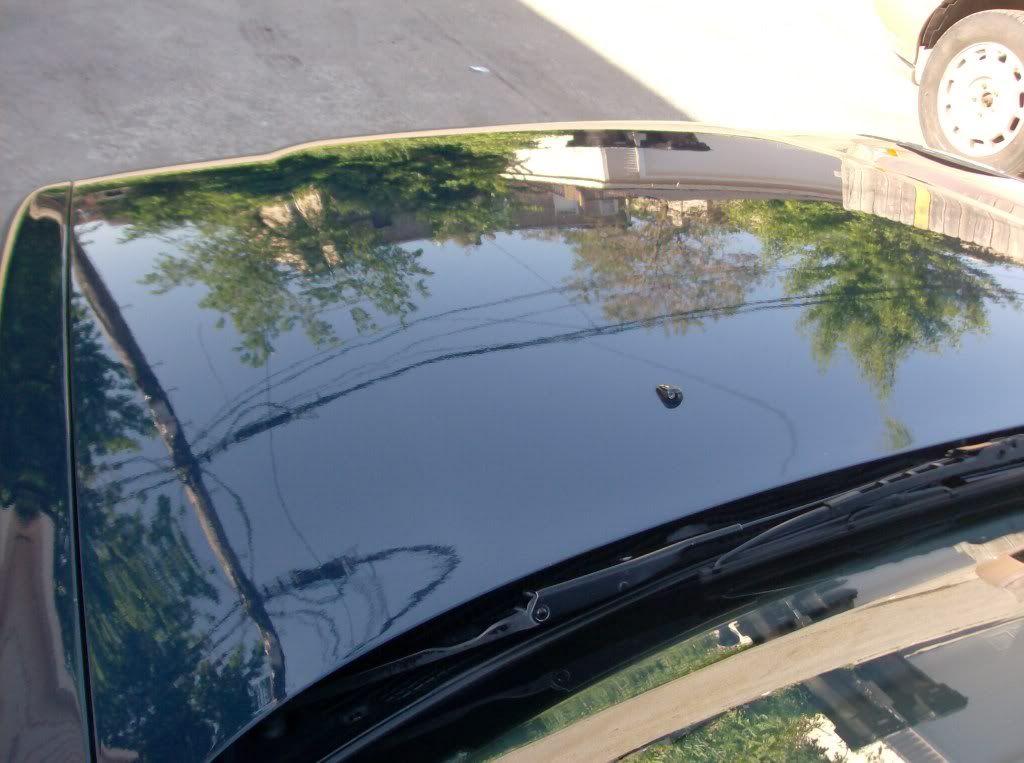 cars02031.jpg