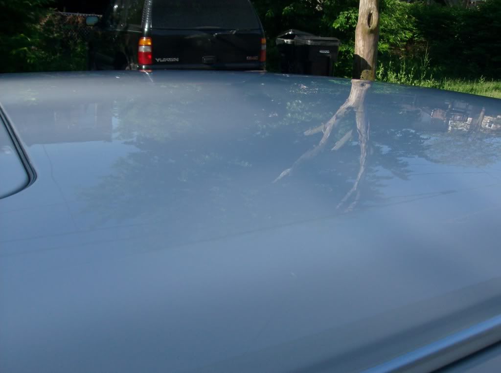 cars02049.jpg