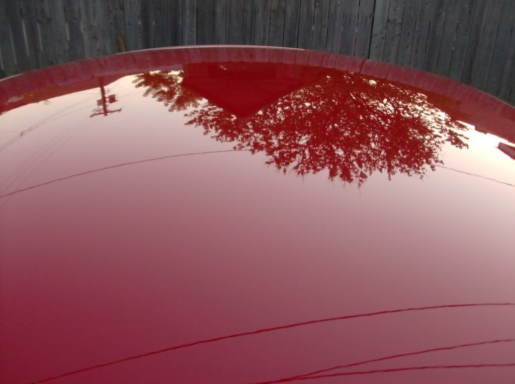 cars02067.jpg