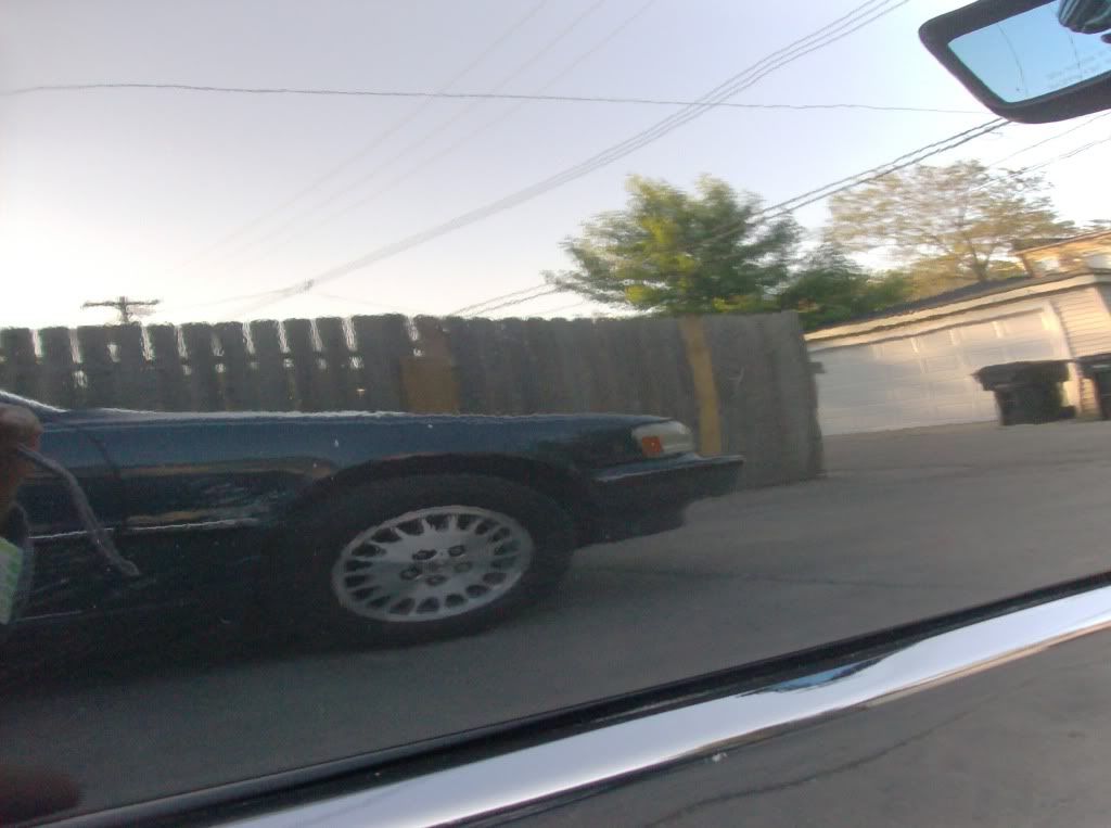 cars02074.jpg