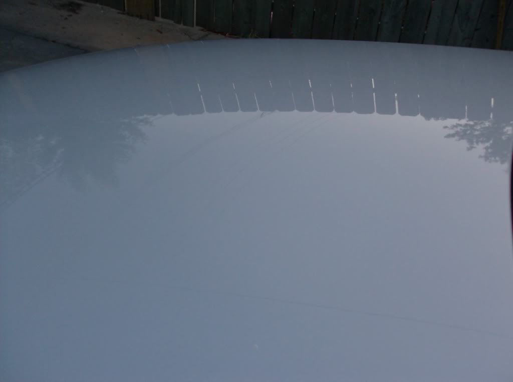 cars02080.jpg