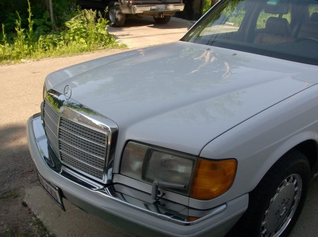 cars02082.jpg