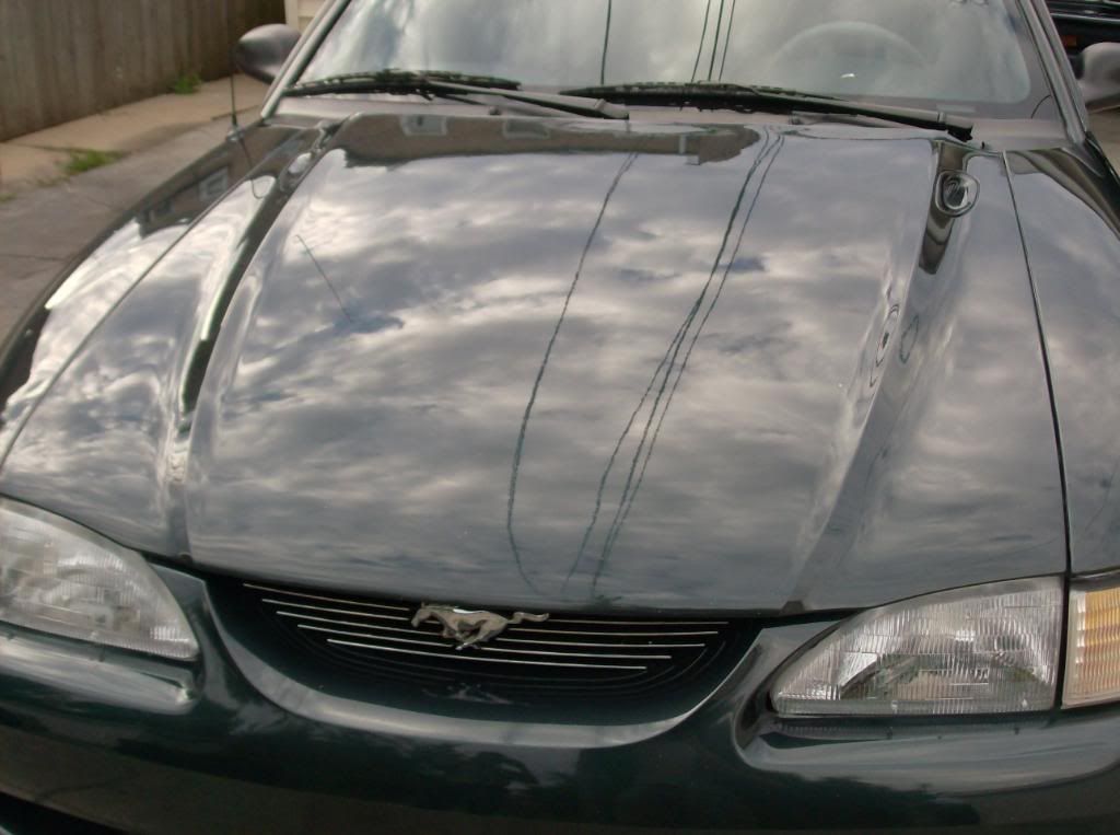 mustang1988005.jpg