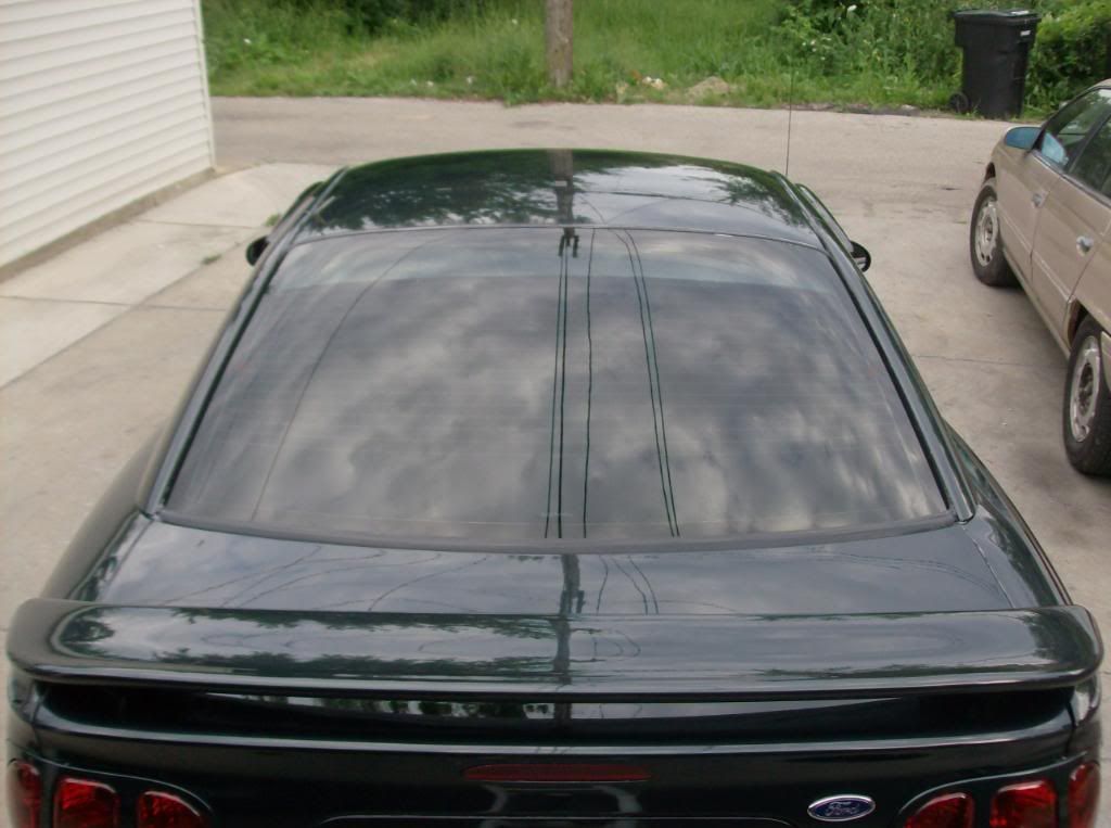 mustang1988007.jpg