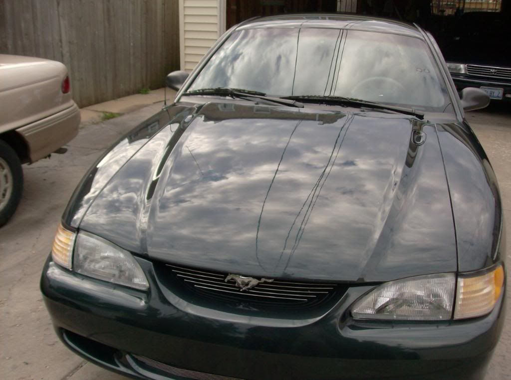 mustang1988011.jpg