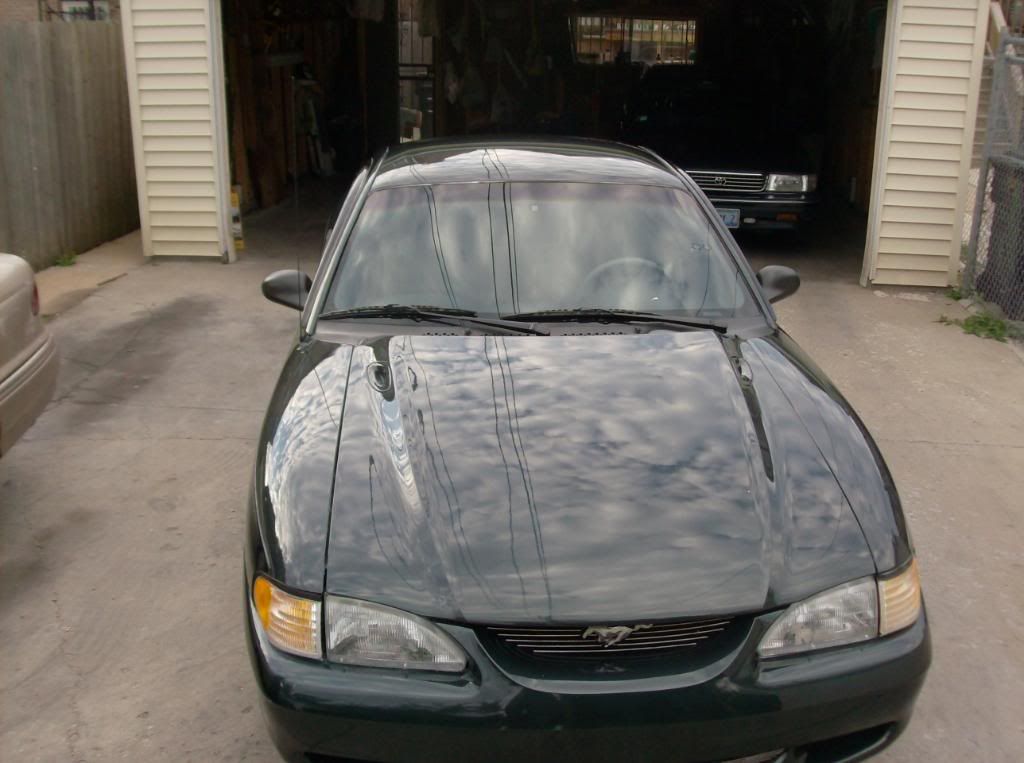 mustang1988013.jpg