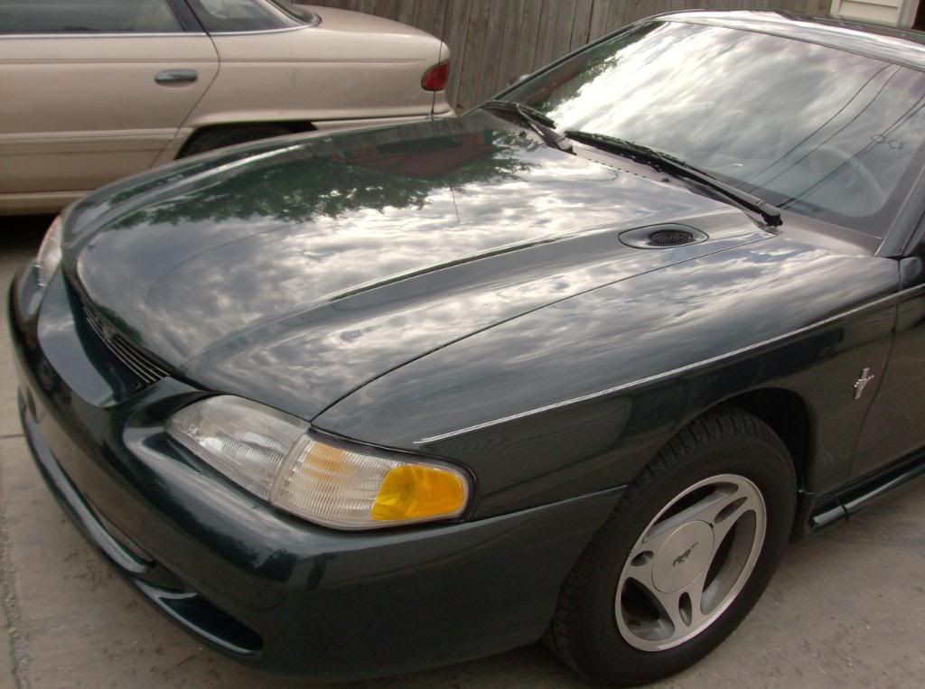 mustang1988015.jpg