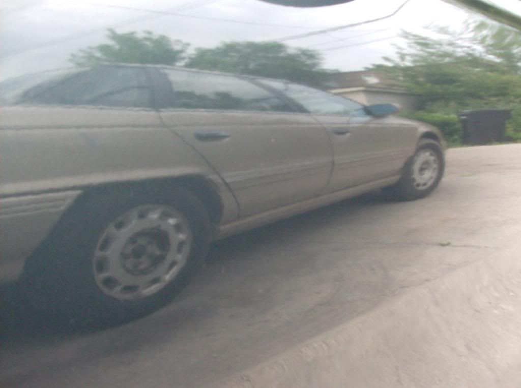 mustang1988016.jpg