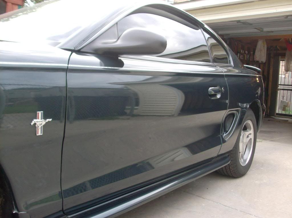 mustang1988021.jpg
