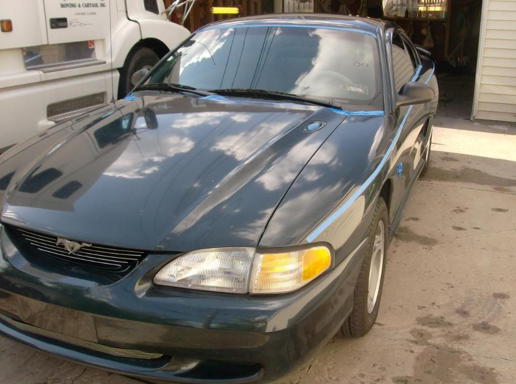 mustang1988026.jpg