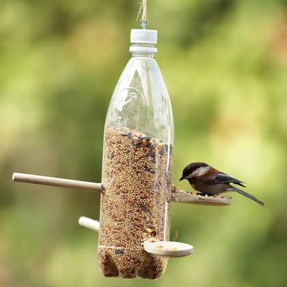 Homemade bird feeders