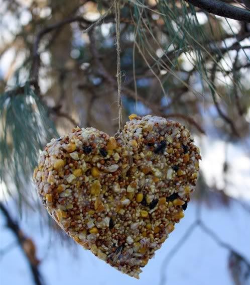 Homemade bird feeders