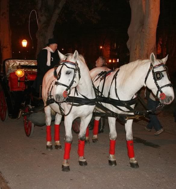 Christmas in Zagreb