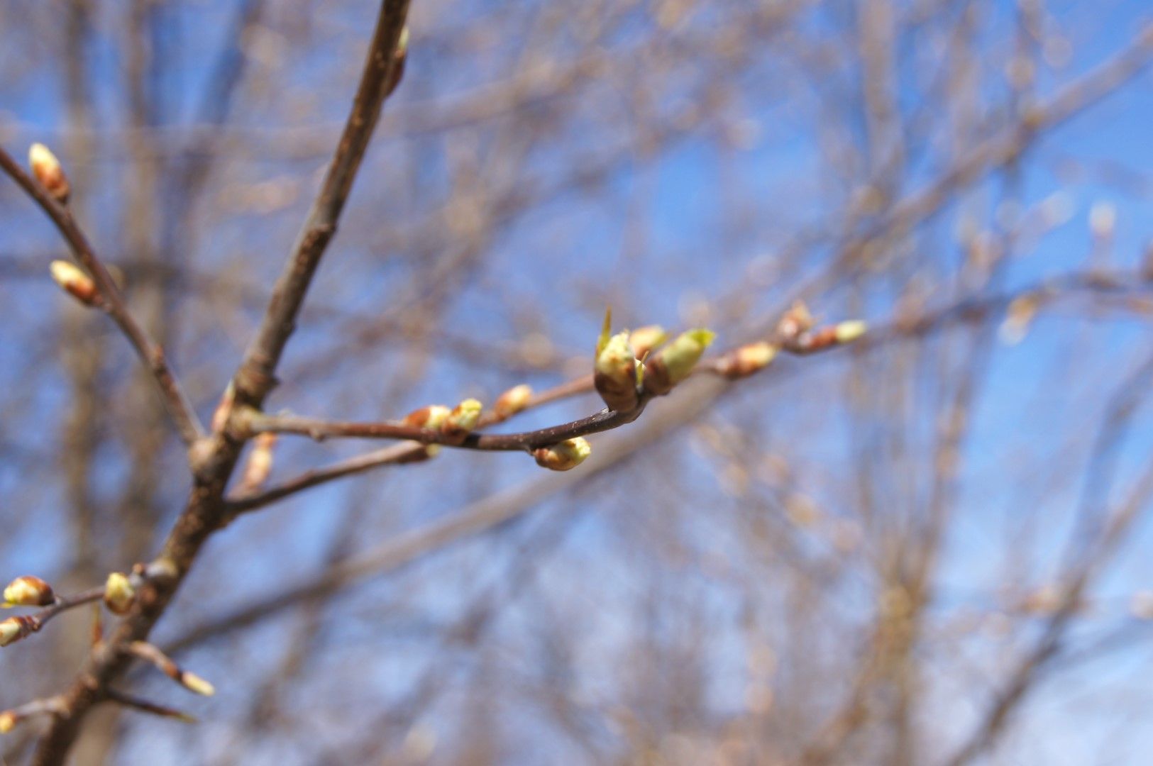 photo DSC08387Large.jpg
