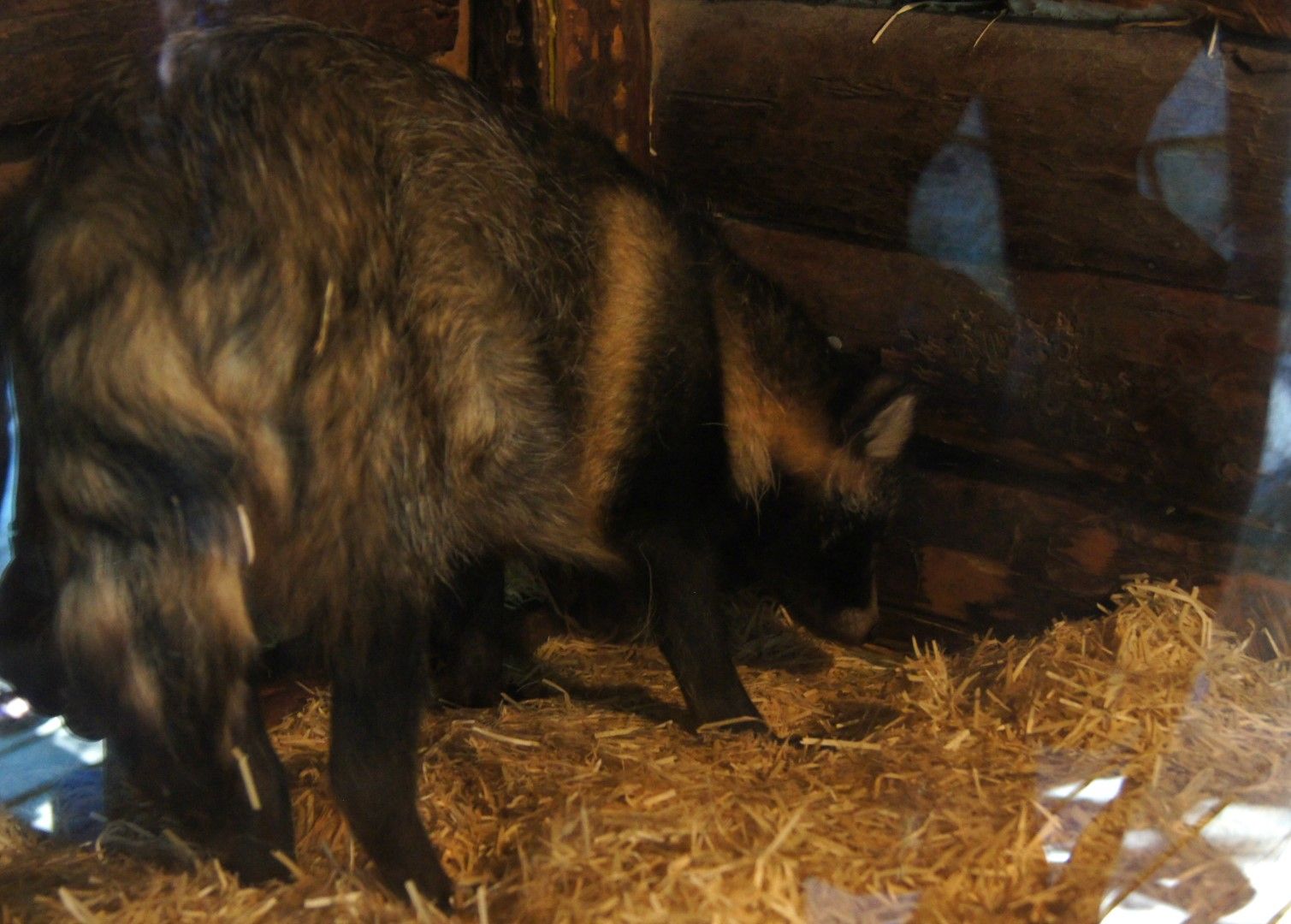 photo DSC03647Large.jpg