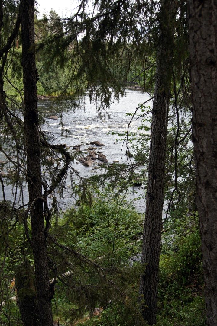 photo DSC03729Large.jpg