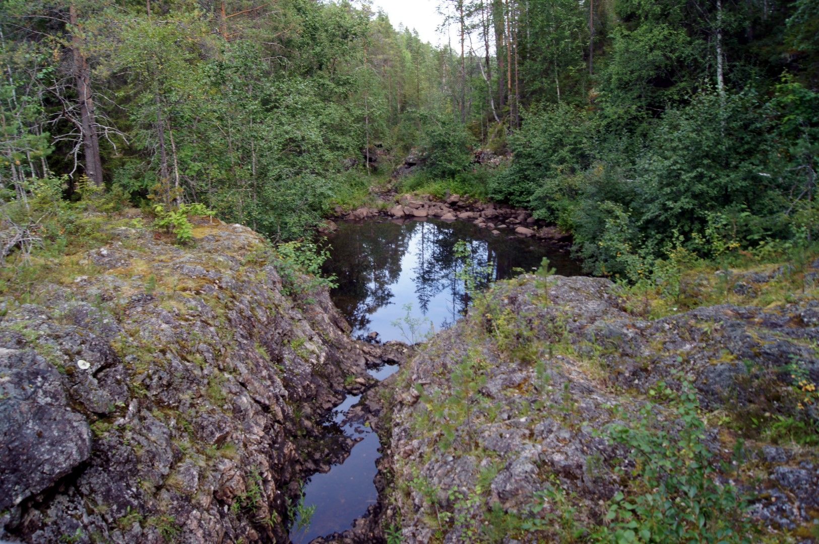 photo DSC03733Large.jpg