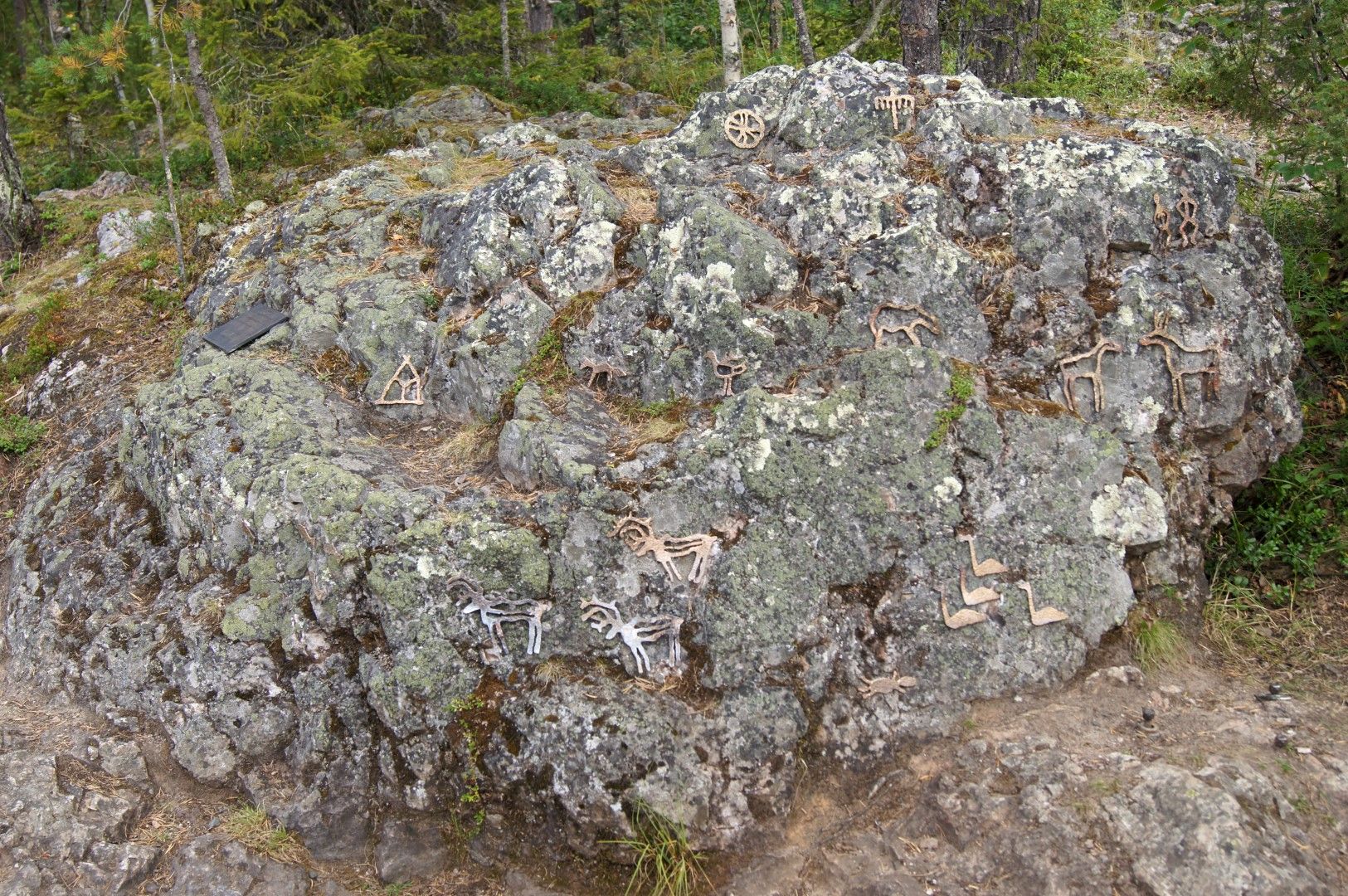 photo DSC03734Large.jpg