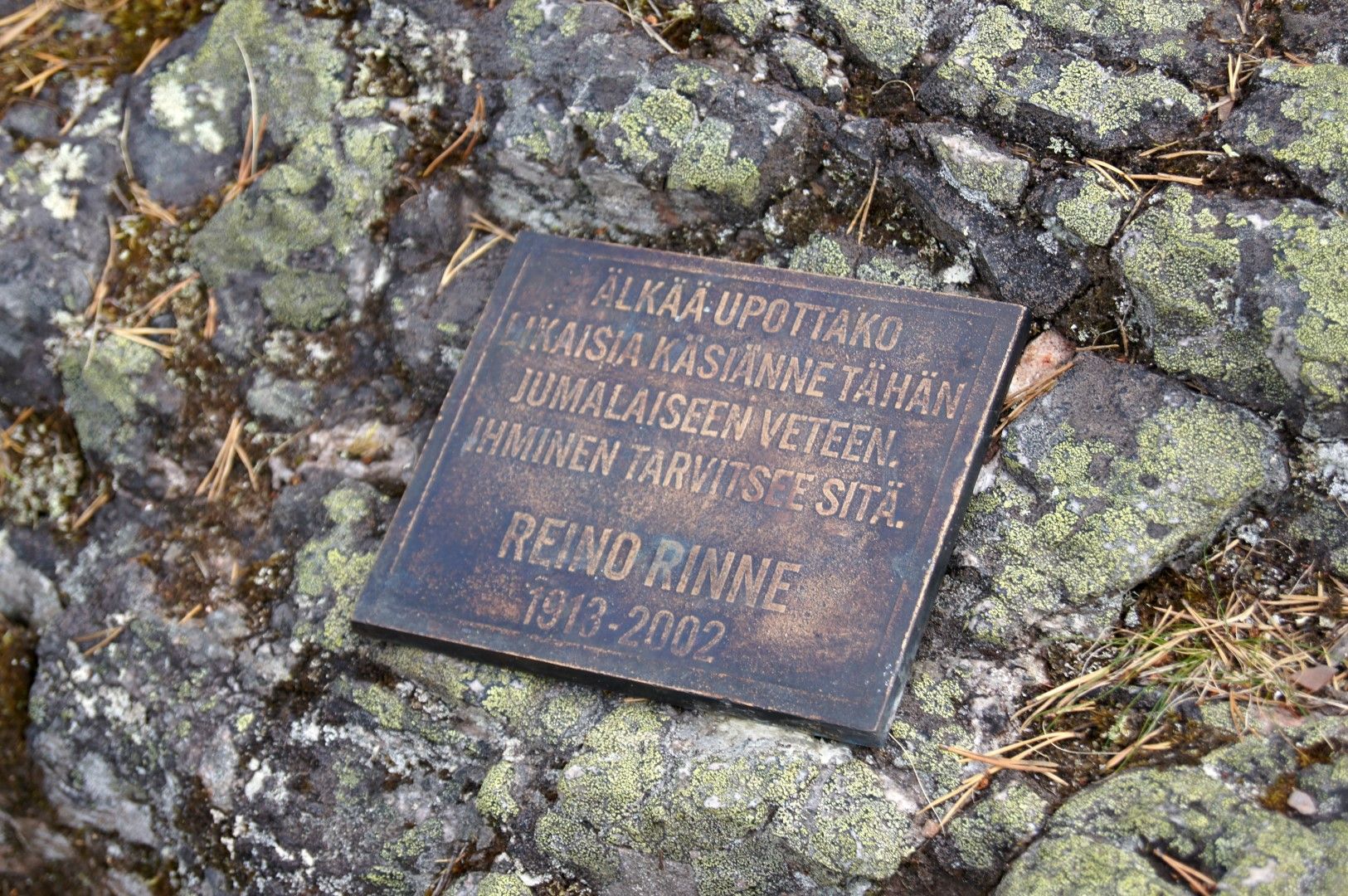 photo DSC03735Large.jpg