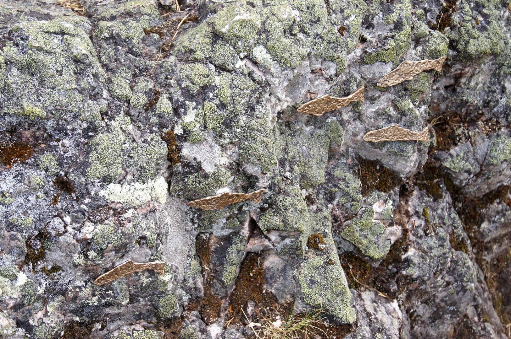 photo DSC03736Large.jpg