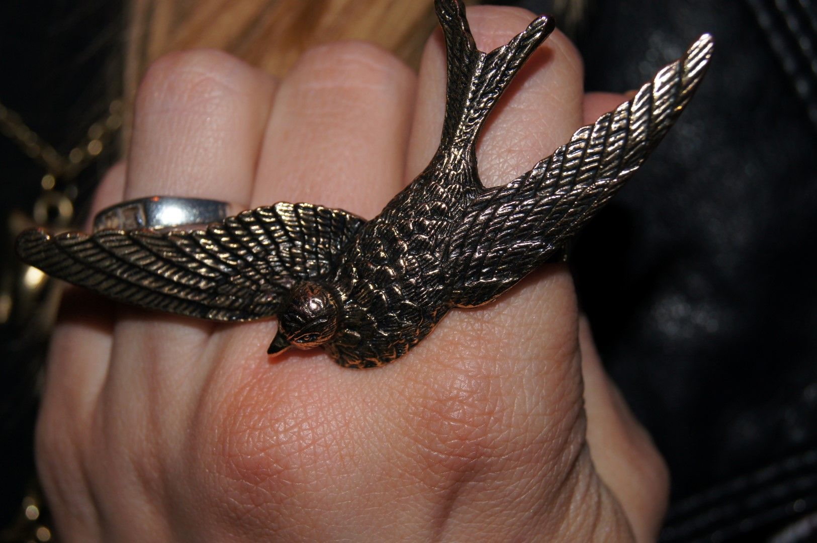 photo DSC00864Large.jpg