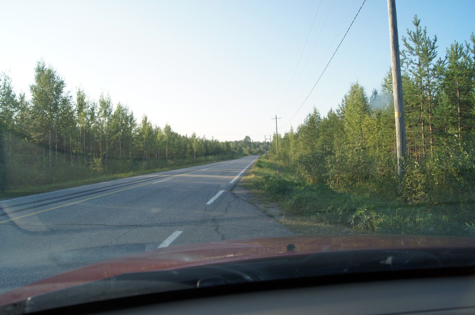 photo DSC03296Large.jpg