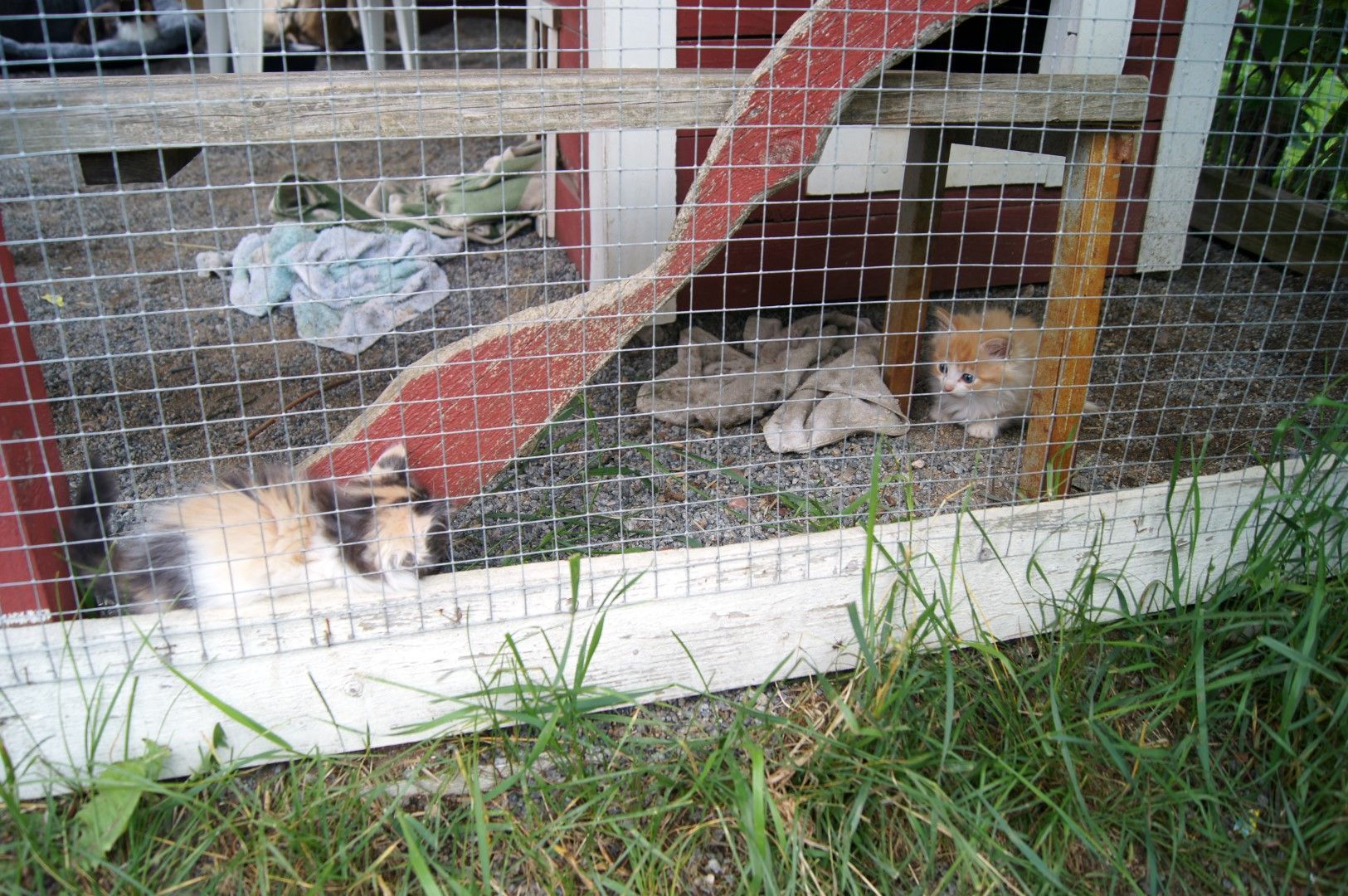 photo DSC00054Large.jpg