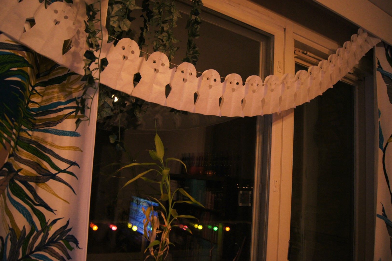 photo DSC03118Large.jpg