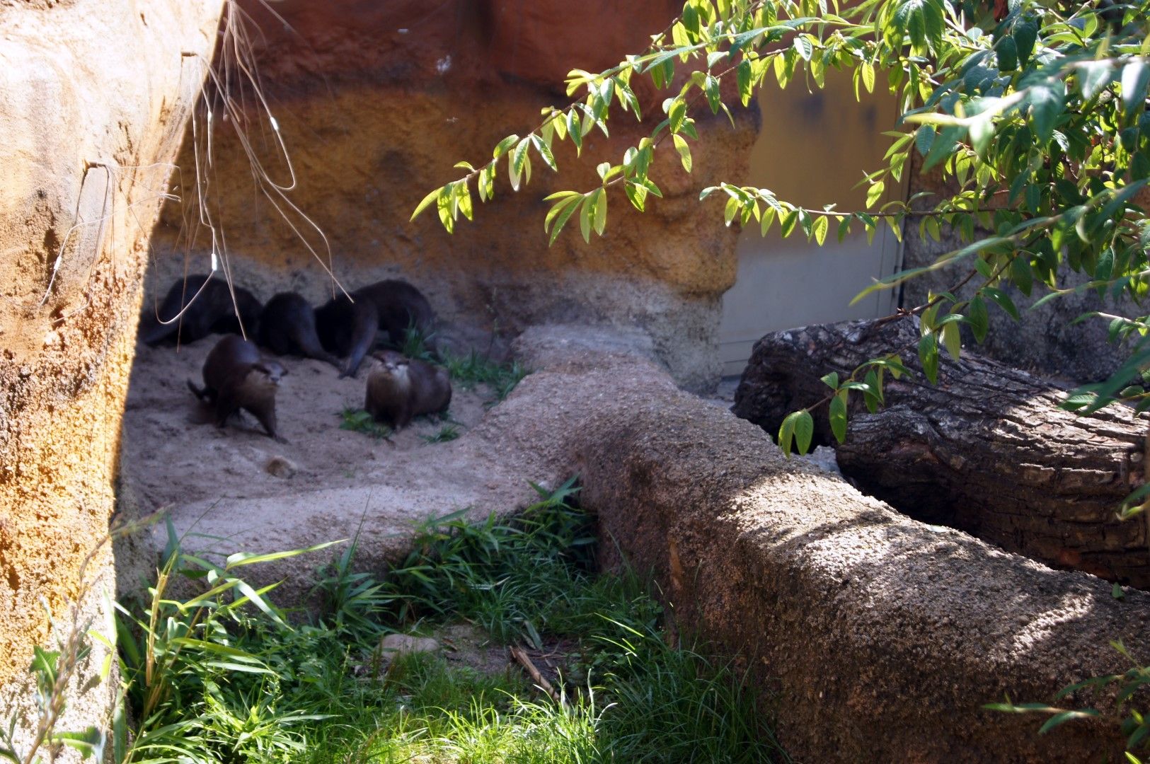 photo DSC00471Large.jpg