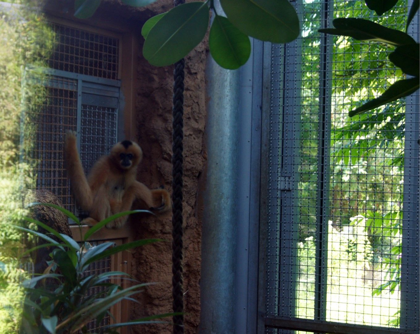 photo DSC00472Large.jpg