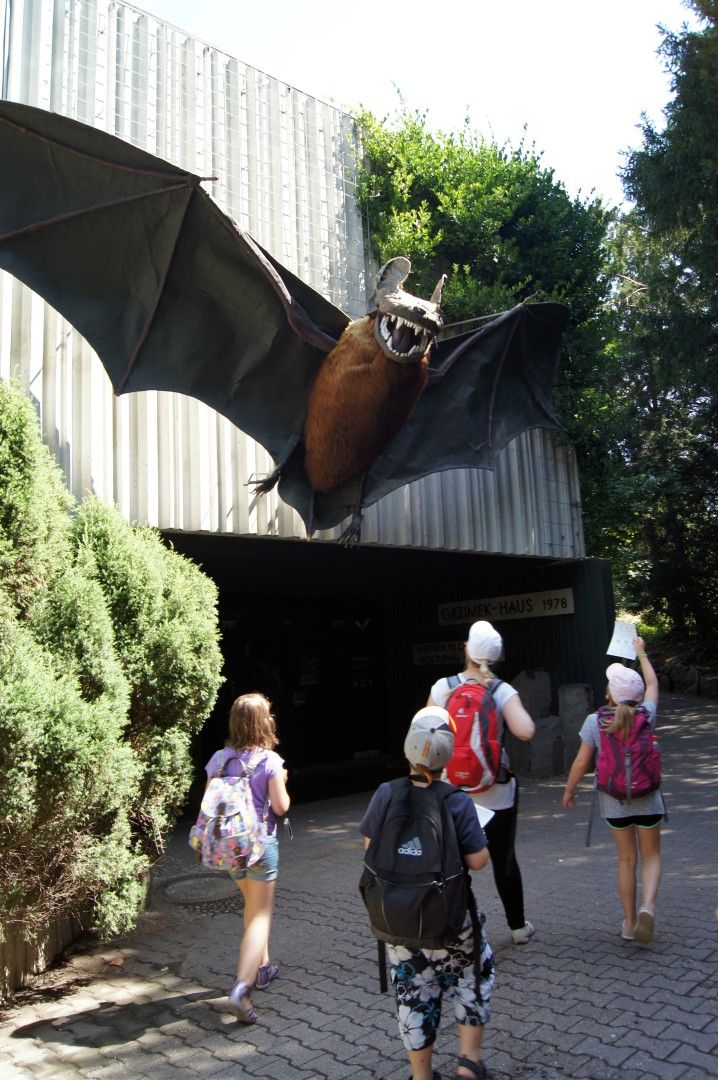 photo DSC00475Large.jpg