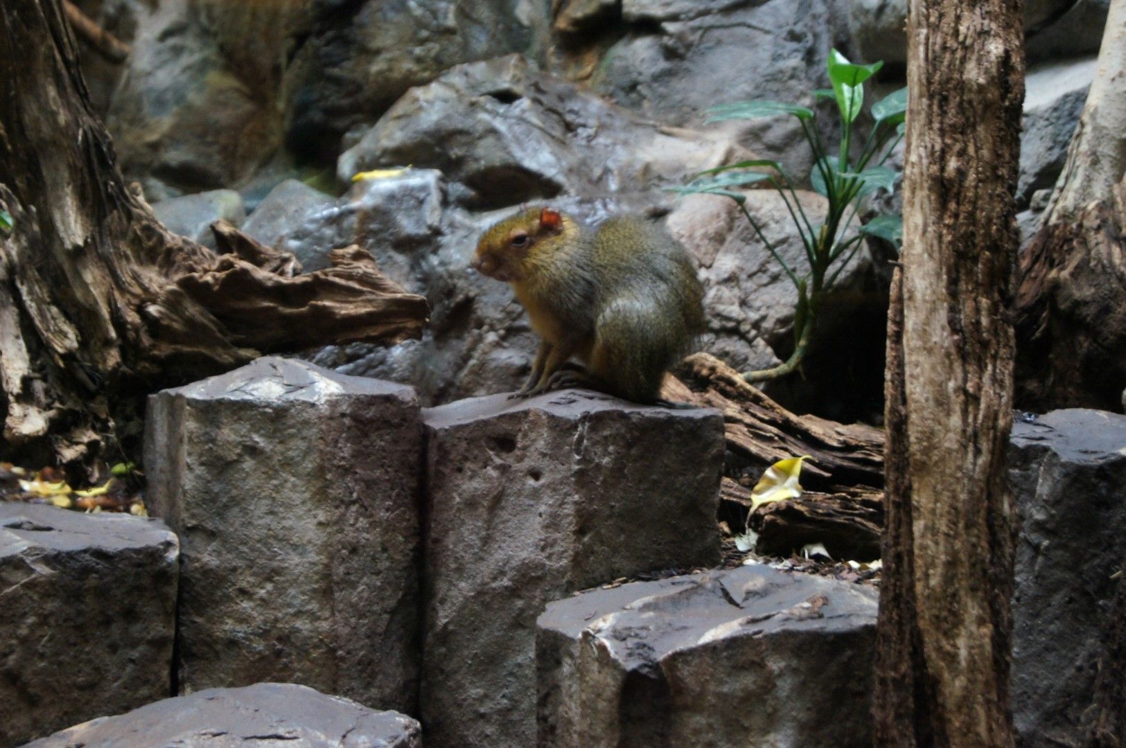 photo DSC00478Large.jpg