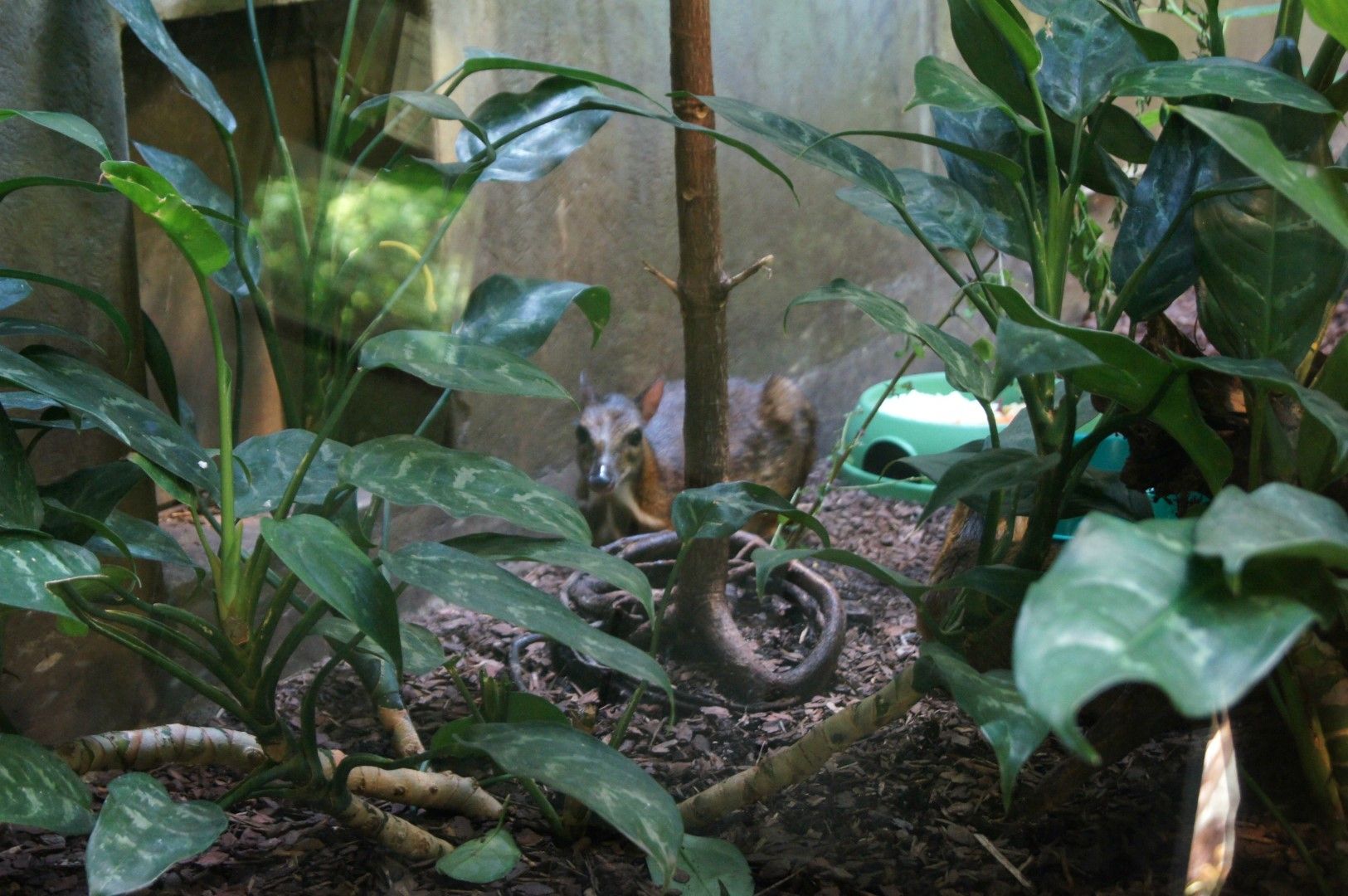 photo DSC00487Large.jpg