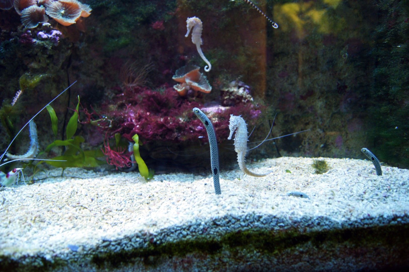 photo DSC00506Large.jpg