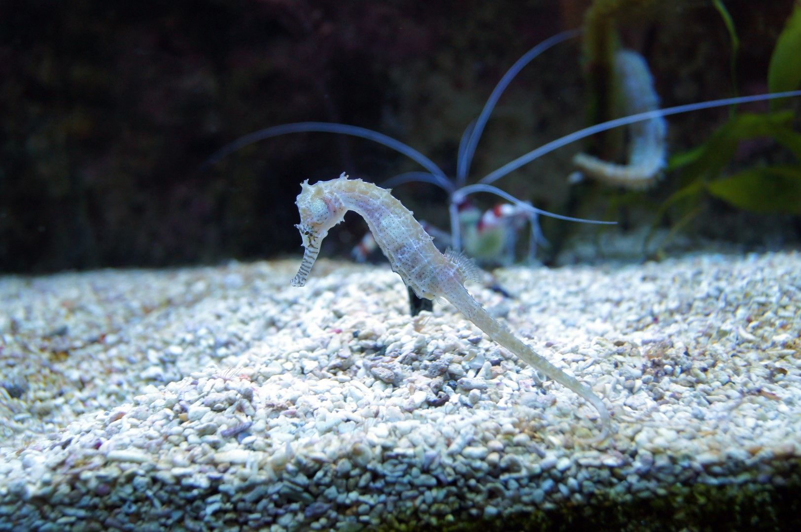 photo DSC00507Large.jpg