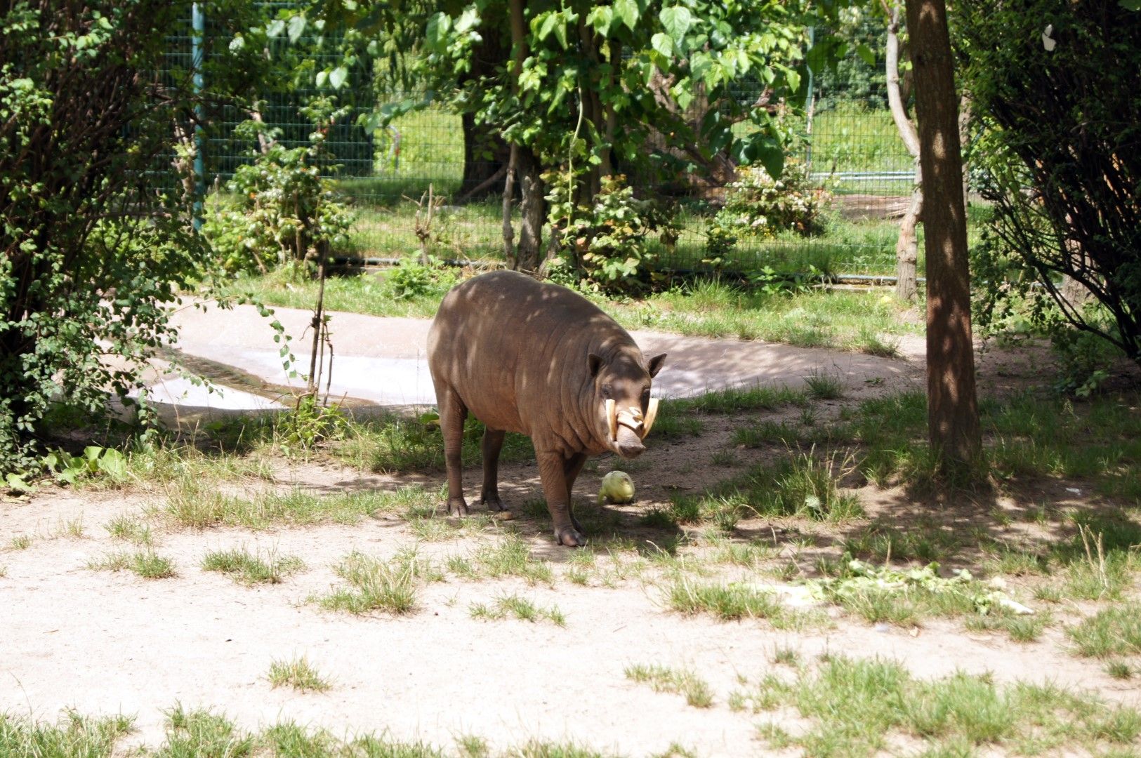 photo DSC00516Large.jpg