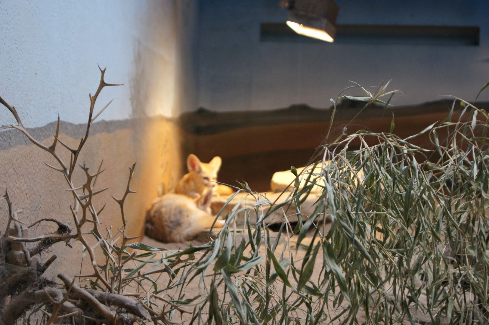 photo DSC00521Large.jpg