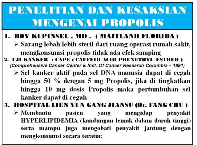 kata dokter