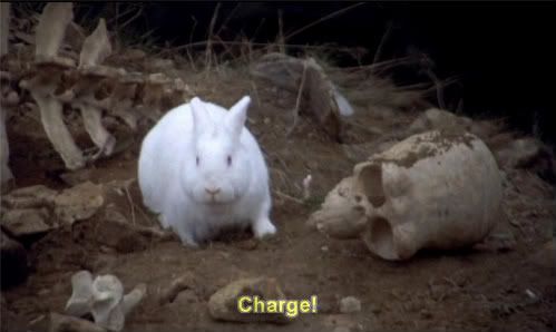 montyrabbit-13.jpg?t=1237006498