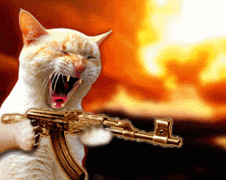 kittgun.gif