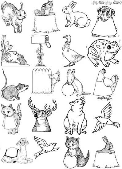 animals pictures for colouring. animals coloring pages powered