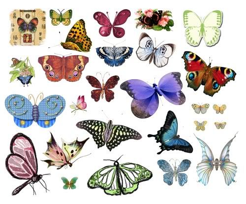 clip art butterflies. Сharming Butterflies – Clipart