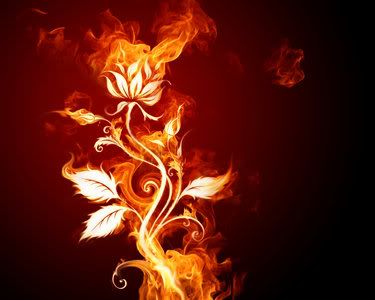 Bright fire flowers sharegraphic.com
