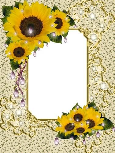 Frame for Photoshop - With sunflowers sharegraphic.com